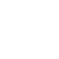 Hammer tool icon representing surgical precision and professional craftsmanship