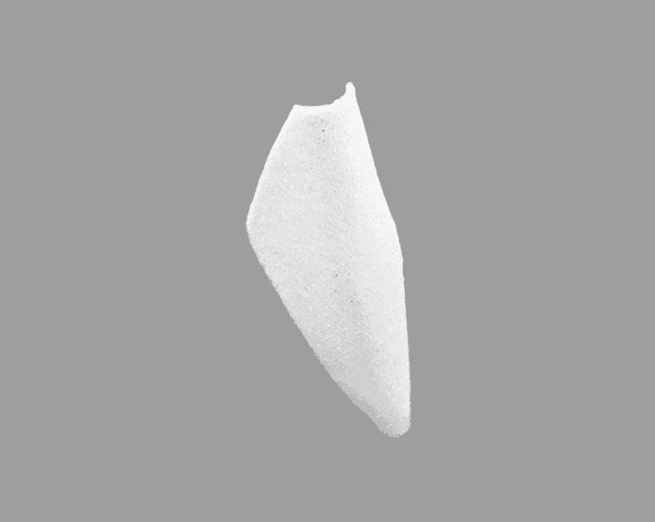 Nasal Dorsal Shell Product Image