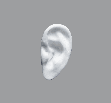 White anatomical ear implant with detailed ear structure