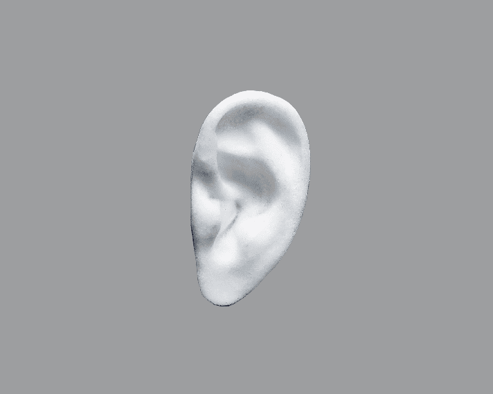 One Piece Ear Product Image
