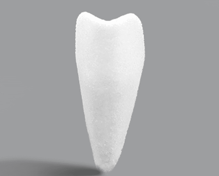SU-POR Nasal Shell Image (2)