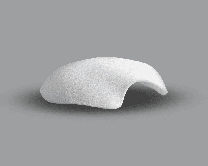 Cranial-Hemisphere-Poriferous-1